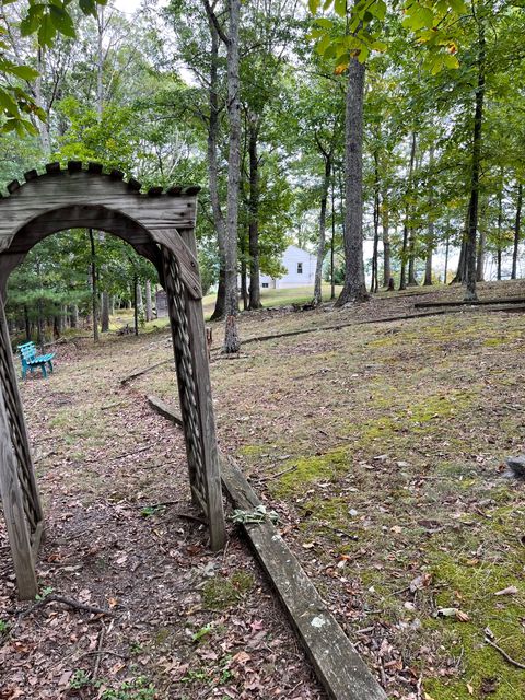 A weathered wooden archway among the trees.