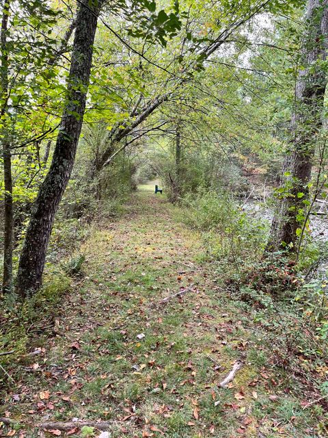 Another stretch of the wooded path.