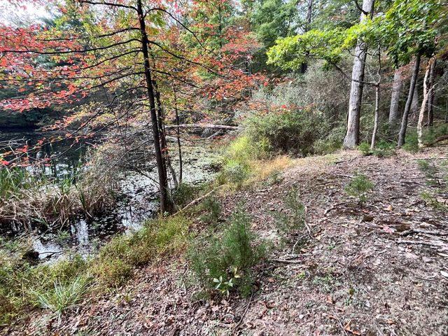 A path beside the pond, with autumn color among the trees.