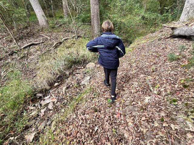 Walking along the hillside trail.