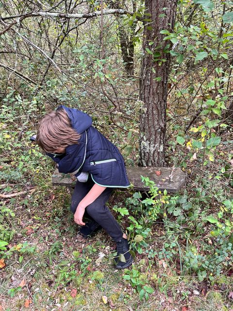 Exploring beside the trees.