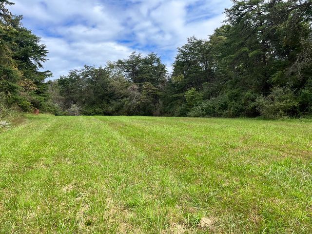 An open meadow bordered by trees.
